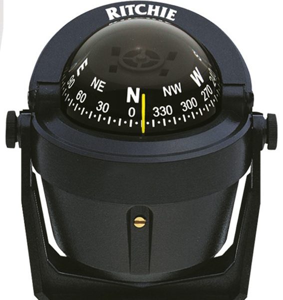 529900 1 e1736940852256.jpg