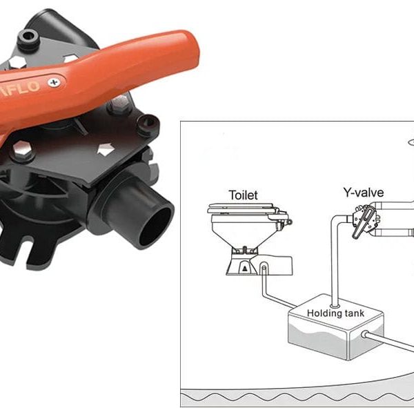 image 2024 06 22 182434970.jpg