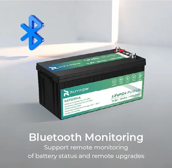 12V Truck Starter Battery 1