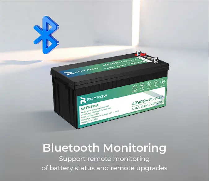 12V Truck Starter Battery 1